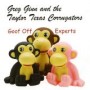 GINN GREG & TAYLOR TEXAS GINN GREG & TAYLOR TEXAS