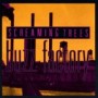 SCREAMING TREES