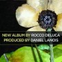 DELUCA ROCCO