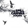 SPILL CANVAS