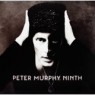 MURPHY PETER