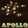 APOLLO APOLLO