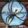 MY DYING BRIDE
