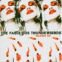FABULOUS THUNDERBIRDS FABULOUS THUNDERBIRDS
