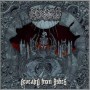 MORBIDITY MORBIDITY