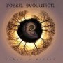 FOSSIL EVOLUTION FOSSIL EVOLUTION