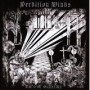 PERDITION WINDS PERDITION WINDS