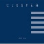 CLUSTER
