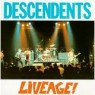 DESCENDENTS DESCENDENTS