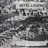 INTELLIGENCE