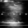 MINNOW