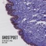 GHOSTPOET GHOSTPOET