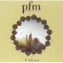 P.F.M.