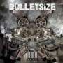 BULLETSIZE