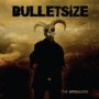 BULLETSIZE