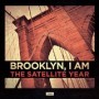 SATELLITE YEAR