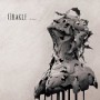 ORAKLE ORAKLE
