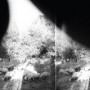 GODSPEED YOU BLACK EMPEROR GODSPEED YOU BLACK EMPEROR