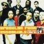 BROOKLYN FUNK ESSENTIALS BROOKLYN FUNK ESSENTIALS