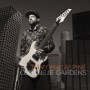 MACALPINE TONY MACALPINE TONY