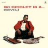 DIDDLEY BO DIDDLEY BO