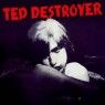 TED DESTROYER