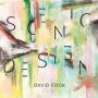 COOK DAVID
