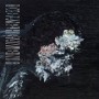 DEAFHEAVEN