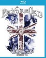 BLACK STONE CHERRY