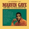 GAYE MARVIN GAYE MARVIN