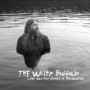 WHITE BUFFALO WHITE BUFFALO