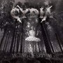CYDIA