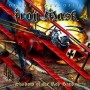 IRON MASK