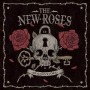 NEW ROSES NEW ROSES