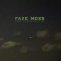 FAKE MOSS