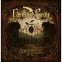 GRAY CARMEN