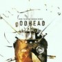 GODHEAD GODHEAD