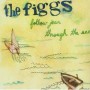 FIGGS FIGGS