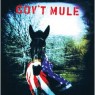GOVT MULE
