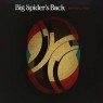 BIG SPIDERS BACK BIG SPIDERS BACK