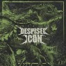 DESPISED ICON