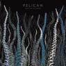 PELICAN