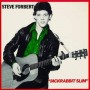 FORBERT STEVE FORBERT STEVE