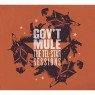 GOVT MULE