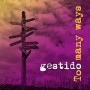 GESTIDO GESTIDO