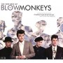 BLOW MONKEYS BLOW MONKEYS