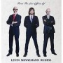 LEVIN & MINNEMANN & RUDESS LEVIN & MINNEMANN & RUDESS
