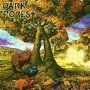 DARK FOREST