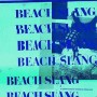 BEACH SLANG BEACH SLANG