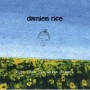 RICE DAMIEN